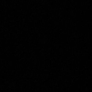 Meet your Posher, Shay